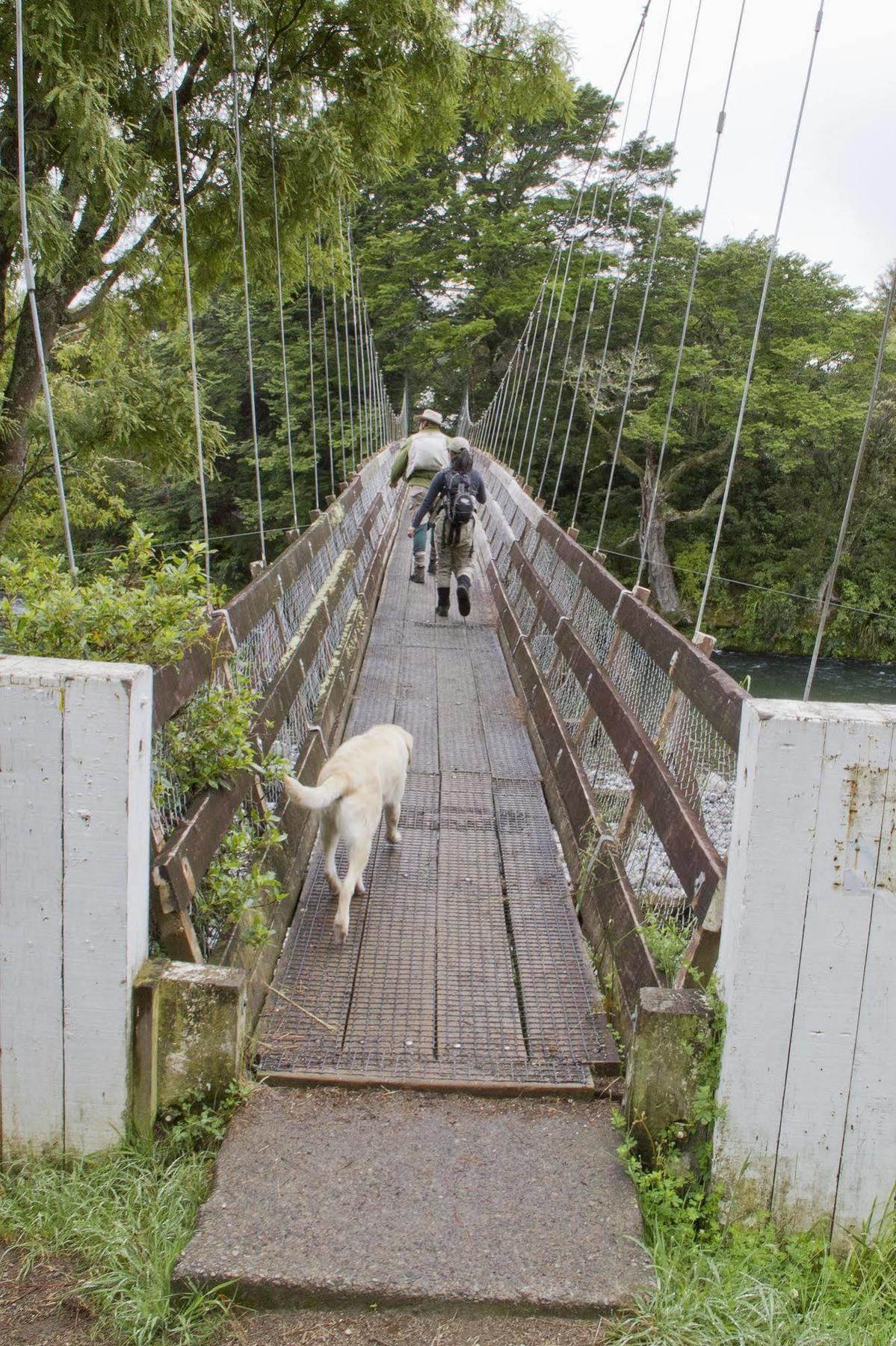 图朗伊鳟鱼山林小屋 外观 照片