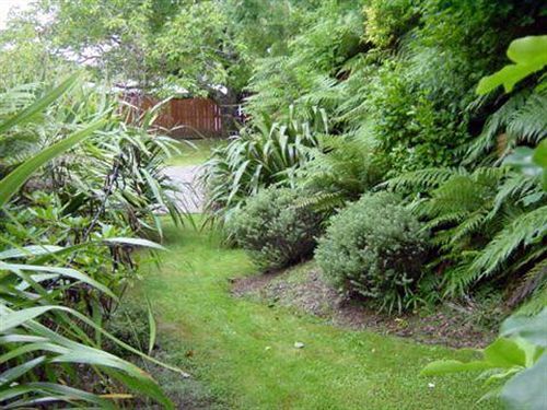 图朗伊鳟鱼山林小屋 外观 照片